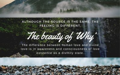 The beauty of ‘Why’