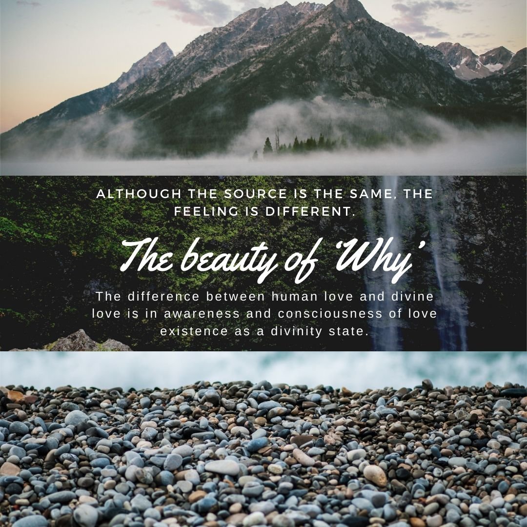 The beauty of ‘Why’